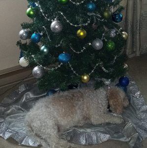 Meet your Posher, Judy